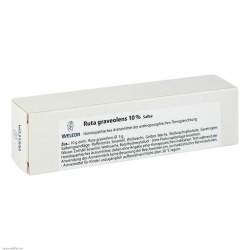 Ruta Graveolens 10% Weleda Salbe 25g