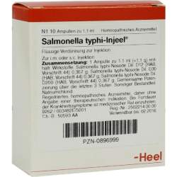 Salmonella typhi-Injeel 10 Amp. Inj.-Lsg.