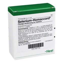 Selenium-Homaccord® 10 Amp. Inj.-Lsg.