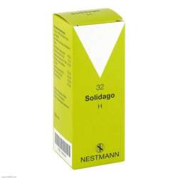 Solidago H 32 Tropf. 100ml