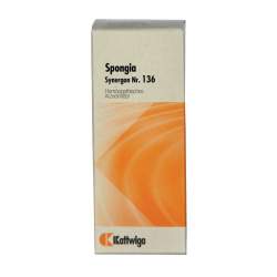 Synergon Komplex 136 Spongia Tropf. 50ml