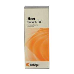 Synergon Komplex 163 Rheum Tropf. 20ml