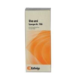 Synergon Komplex 166 Uva ursi Tropf. 20ml