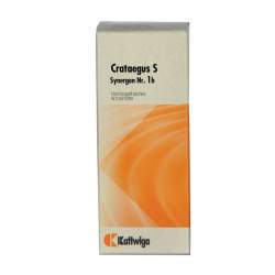 Synergon Komplex 1b Crataegus S Tropf. 50ml