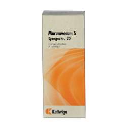 Synergon Komplex 20 Marum verum S Tropfen 50ml