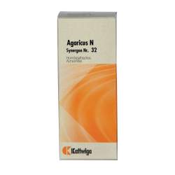 Synergon Komplex 32 Agaricus N Tropfen 50ml