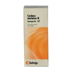 Synergon Komplex 67 Carduus marianus N Tropf. 20ml