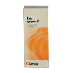 Synergon Komplex 97 Ruta Tropf. 50ml