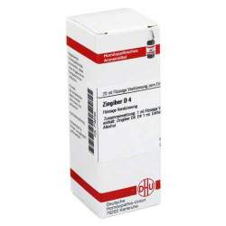 Zingiber D4 DHU Dilution 20ml