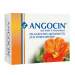 ANGOCIN® Anti-Infekt N 100 Filmtbl.