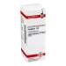 Camphora D6 DHU 20ml Dil.
