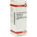 Echinacea HAB D6 DHU 20ml Dil.