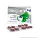 Gingium® 240 mg 60 Filmtabletten