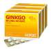 Ginkgo biloba Hevert® 300 Tbl.