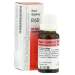 Haut Gastreu R60 Tropf. 22 ml