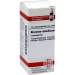 Niccolum metallicum D12 DHU Glob. 10 g