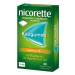 Nicorette® 2mg freshfruit 30 Kaugummi
