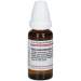 Rhus toxicodendron C6 DHU 20ml Dil.