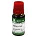 Sulfur Arcana LM 6 Dilution 10ml