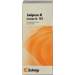 Synergon Komplex 165 Juniperus N Tropf. 20ml